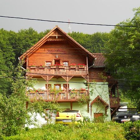 Vila Anna Sovata Buitenkant foto