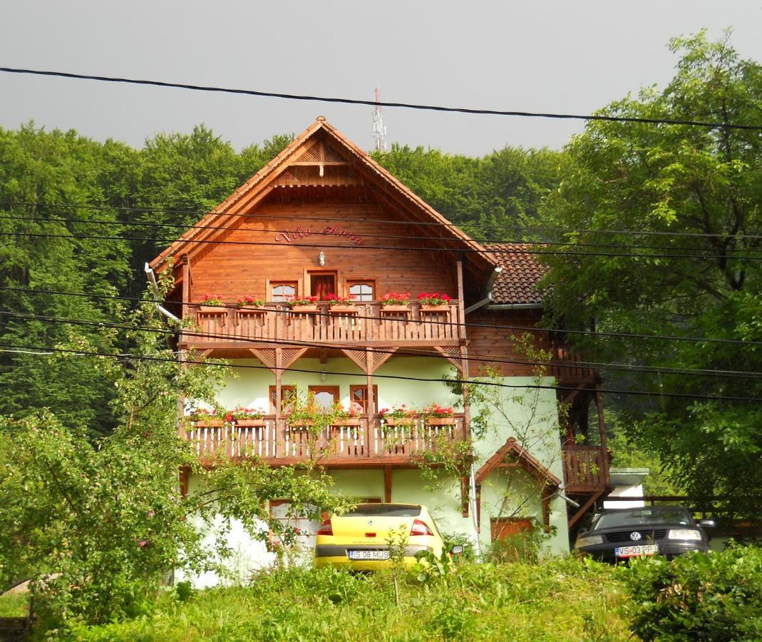 Vila Anna Sovata Buitenkant foto