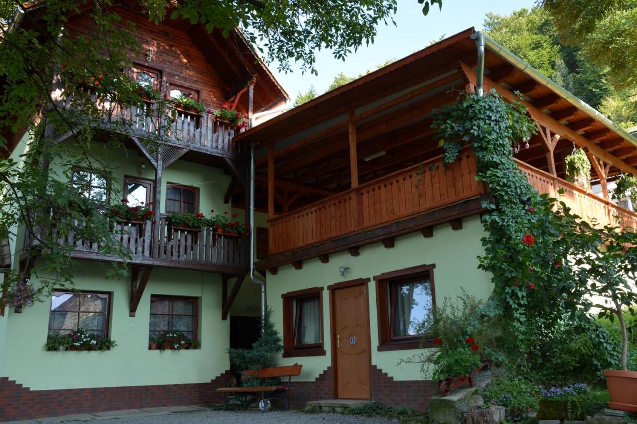 Vila Anna Sovata Buitenkant foto