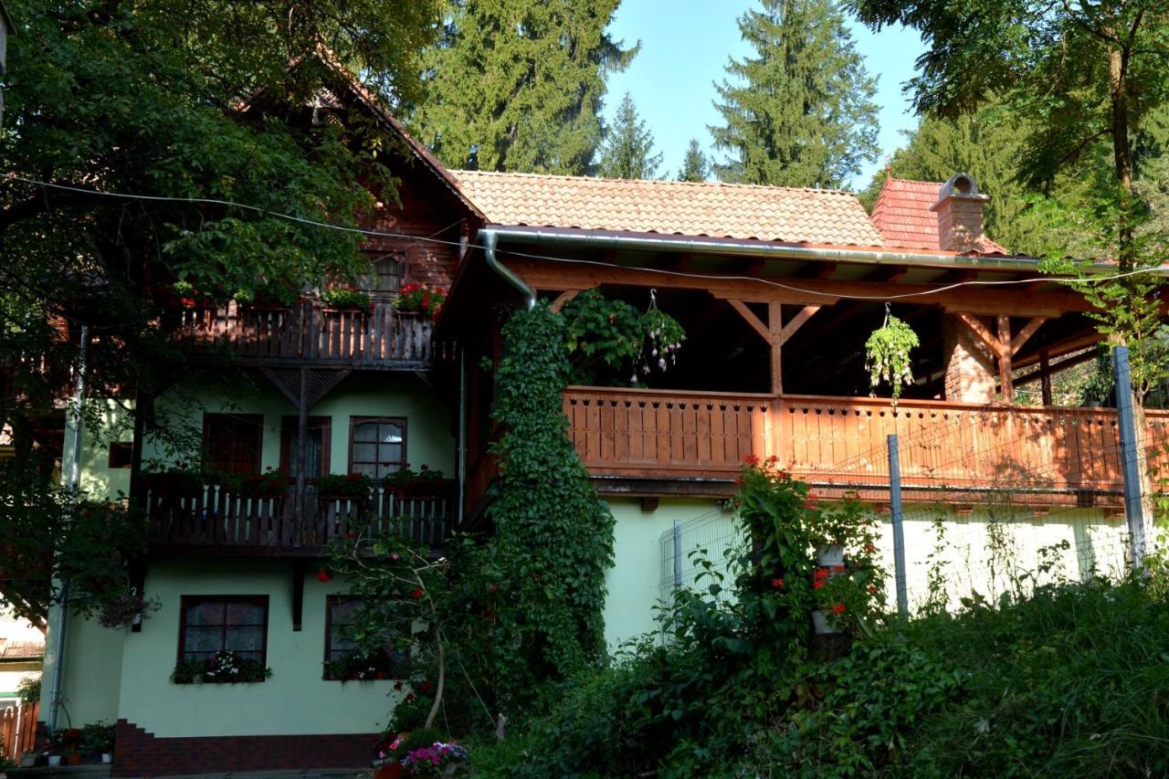 Vila Anna Sovata Buitenkant foto