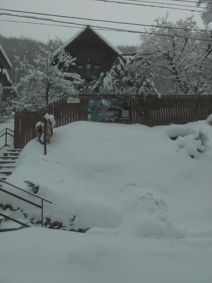Vila Anna Sovata Buitenkant foto